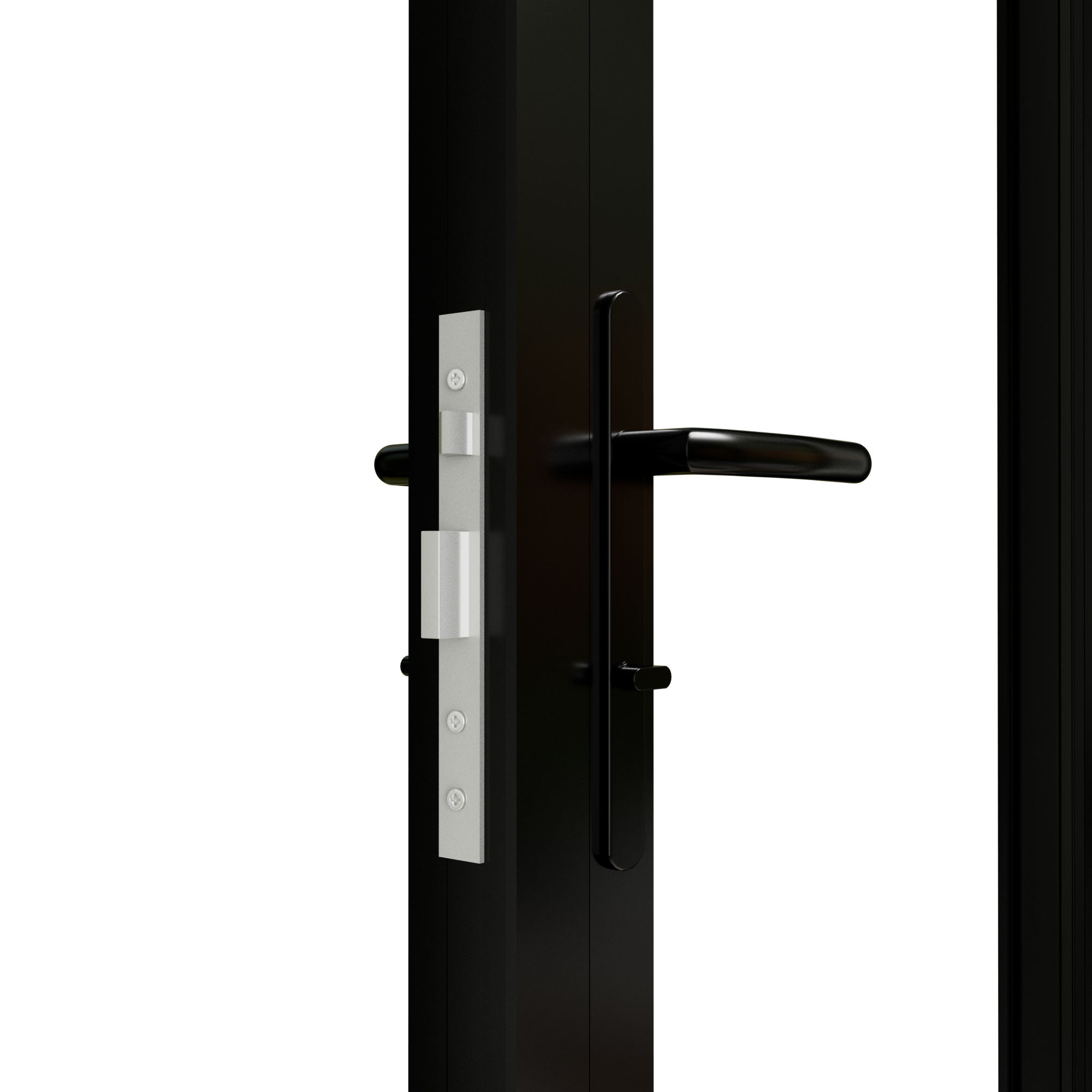 Ark Design Black 2 Panel Outswing Double Tempered Glass Aluminum Folding Patio Door