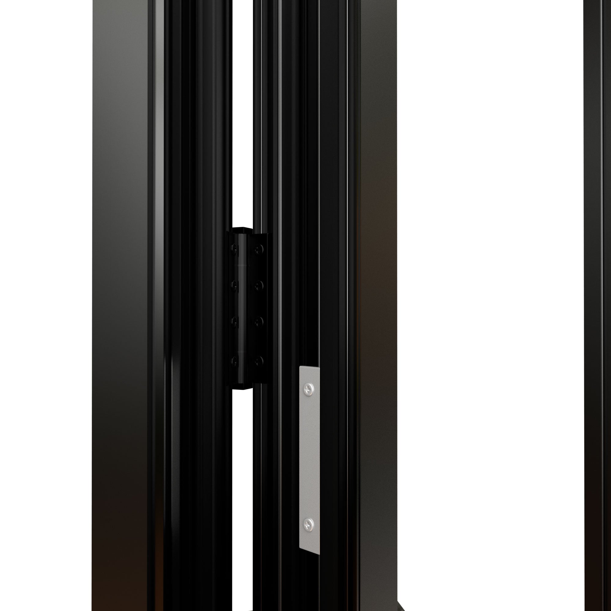 Ark Design Black 2 Panel Outswing Double Tempered Glass Aluminum Folding Patio Door