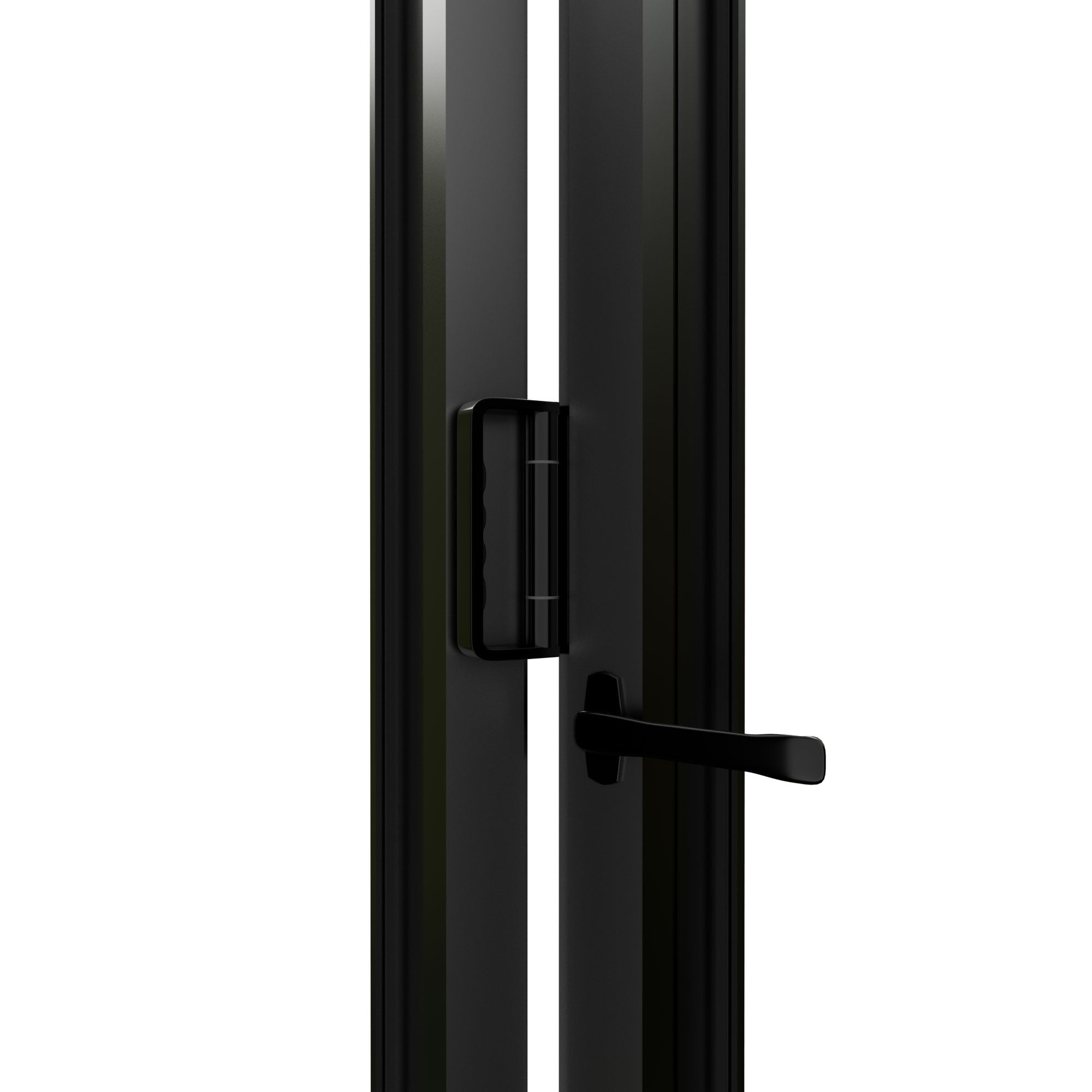 Ark Design Black 2 Panel Outswing Double Tempered Glass Aluminum Folding Patio Door