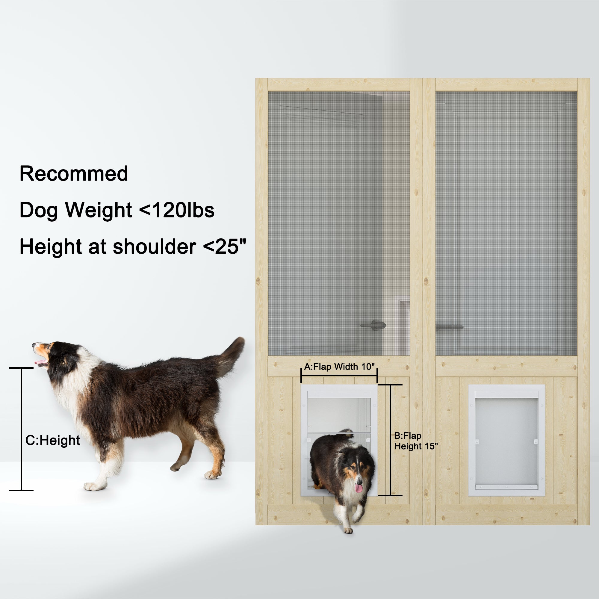 Ark Design Single Universal Paneled Unfinished Pine Wood and Gauze Mesh Hinged Screen Door with Pet Door