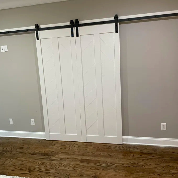 Double Barn Door