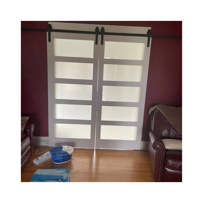 Double Barn Door