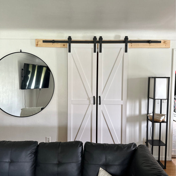 Double Barn Door
