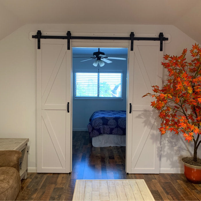 Double Barn Door